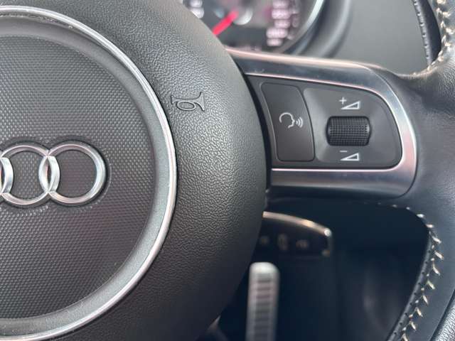 アウディ ＴＴ クーペ ２．０ ＴＦＳＩ クワトロ リミテッド １００イヤーズ アニバーサリー ４ＷＤ H21年 (東海) 99