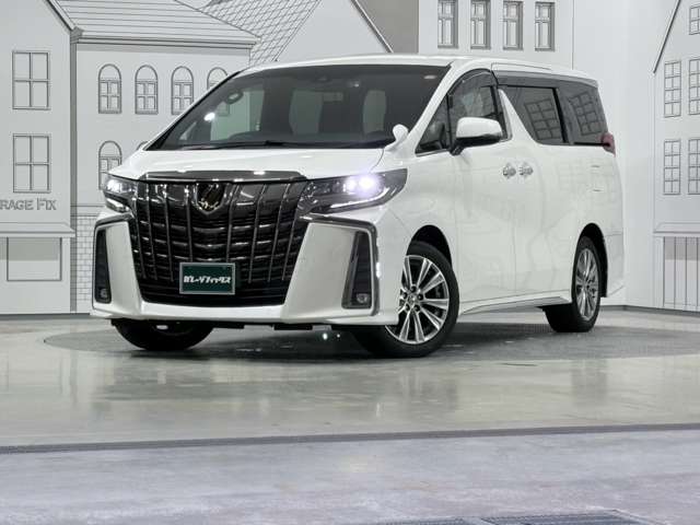 トヨタ アルファード ２．５ Ｓ タイプゴールドＩＩ R3年 (甲信越・北陸) 99
