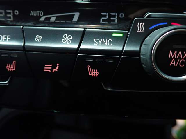 ＢＭＷ Ｘ１ Ｘドライブ １８Ｄ Ｘライン ４ＷＤ H29年 (九州・沖縄) 99