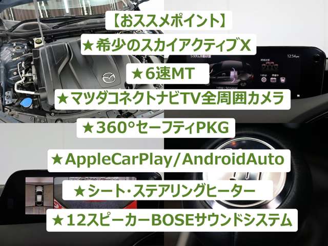 マツダ ＭＡＺＤＡ３　ファストバック ２．０ Ｘ プロアクティブ ツーリング セレクション R1年 (東海) 99