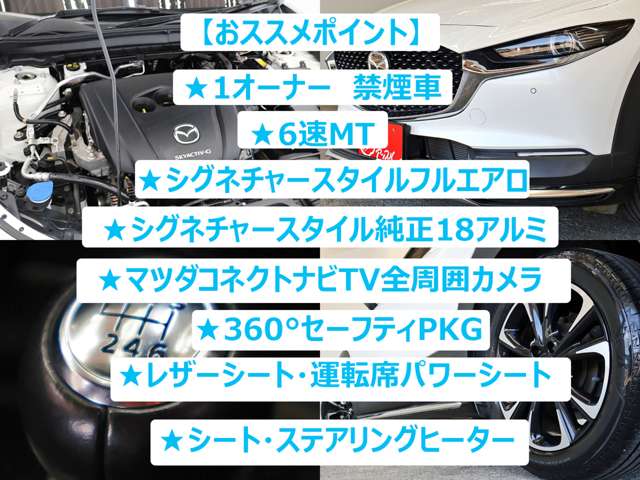 マツダ ＣＸ−３０ ２．０ ２０Ｓ Ｌパッケージ R2年 (東海) 99
