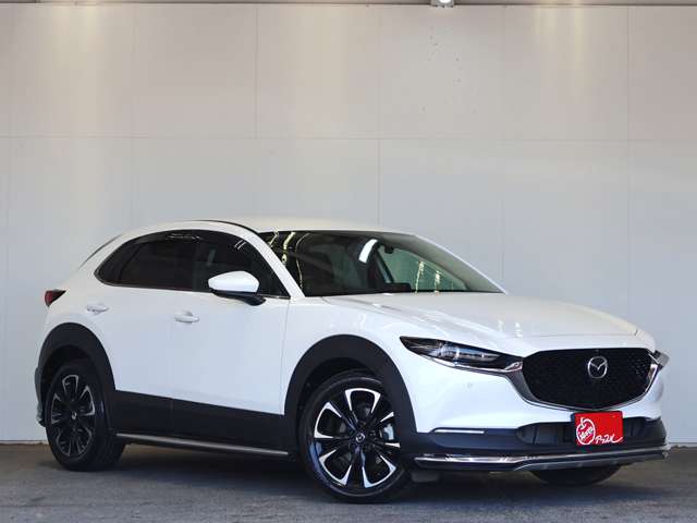 マツダ ＣＸ−３０ ２．０ ２０Ｓ Ｌパッケージ R2年 (東海) 99