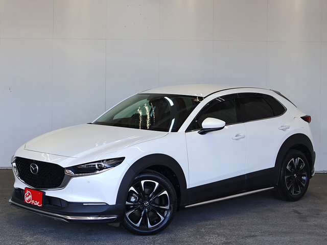 マツダ ＣＸ−３０ ２．０ ２０Ｓ Ｌパッケージ R2年 (東海) 99
