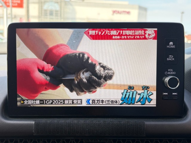 ホンダ ＺＲ－Ｖ ２．０ Ｅ：ＨＥＶ Ｚ R6年 (九州・沖縄) 99