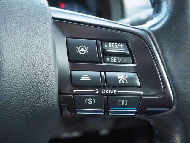 スバル レヴォーグ １．６ ＧＴ－Ｓ アイサイト ４ＷＤ H30年 (甲信越・北陸) 99