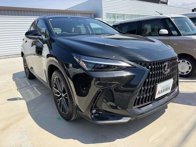 レクサス ＮＸ２５０ バージョンＬ R5年 (近畿) 99