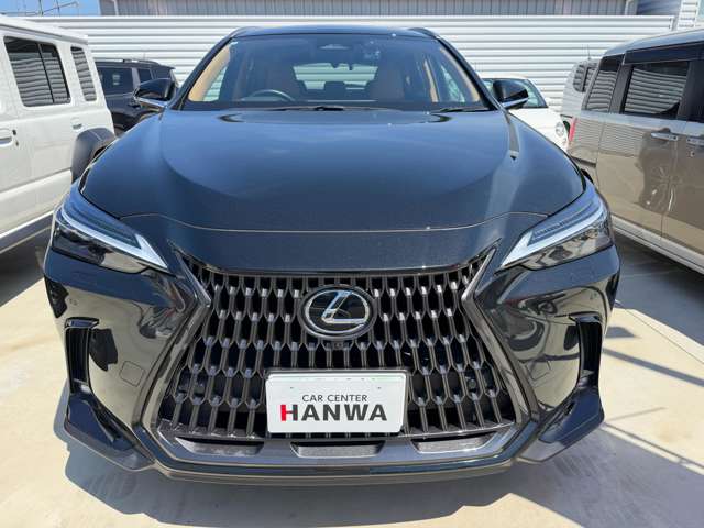 レクサス ＮＸ２５０ バージョンＬ R5年 (近畿) 99
