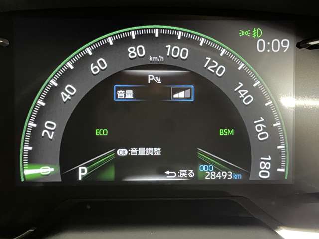 トヨタ ＲＡＶ４ ２．０ Ｇ Ｚパッケージ ４ＷＤ R2年 () 99