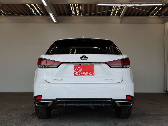 レクサス ＲＸ３００ Ｆスポーツ R3年 (東海) 99