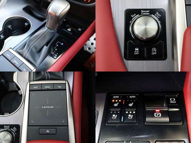 レクサス ＲＸ３００ Ｆスポーツ R3年 (東海) 99
