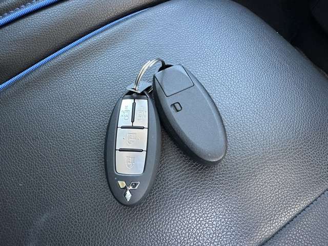 三菱 デリカ　ミニ ６６０ Ｔ プレミアム リミテッド エディション R7年 () 99