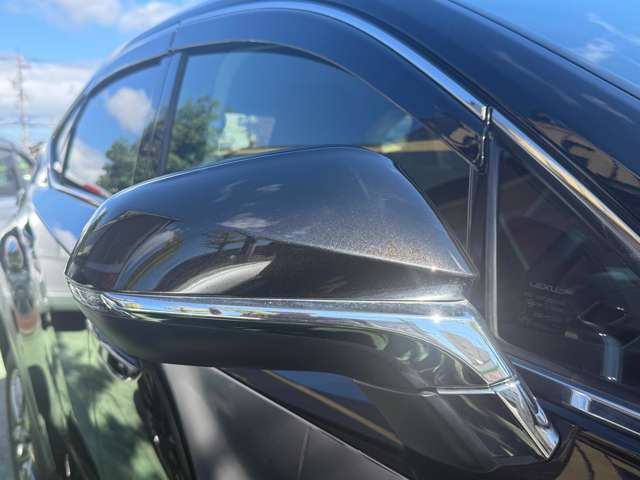 レクサス ＮＸ２００ｔ ２００Ｔ H26年 (甲信越・北陸) 99