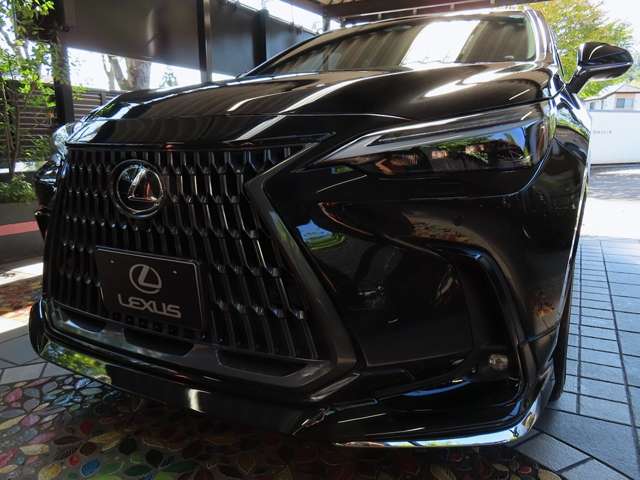 レクサス ＮＸ４５０ｈ＋ ４５０Ｈプラス バージョンＬ ４ＷＤ R6年 (関東) 99