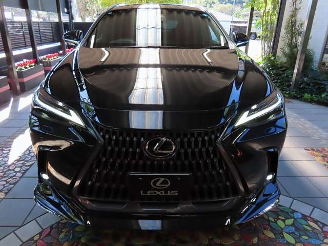 レクサス ＮＸ４５０ｈ＋ ４５０Ｈプラス バージョンＬ ４ＷＤ R6年 (関東) 99