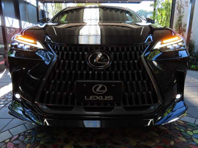 レクサス ＮＸ４５０ｈ＋ ４５０Ｈプラス バージョンＬ ４ＷＤ R6年 (関東) 99