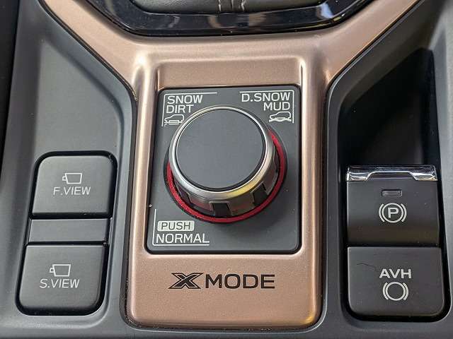 スバル フォレスター ２．５ プレミアム ４ＷＤ R1年 (関東) 99