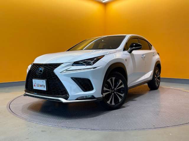 レクサス ＮＸ３００ Ｆスポーツ H30年 (近畿) 99
