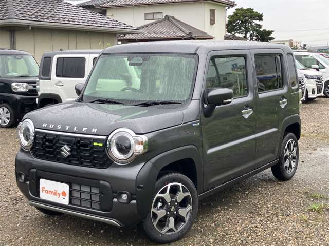 スズキ ハスラー ６６０ ハイブリッド Ｘ R8年 (東海) 99
