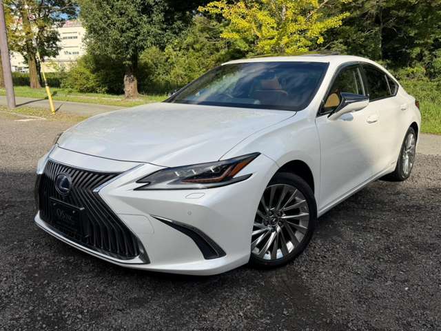 レクサス ＥＳ３００ｈ バージョンＬ R1年 (近畿) 99