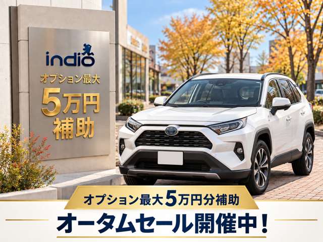 ダイハツ ムーヴ ６６０ Ｌ H27年 (甲信越・北陸) 99