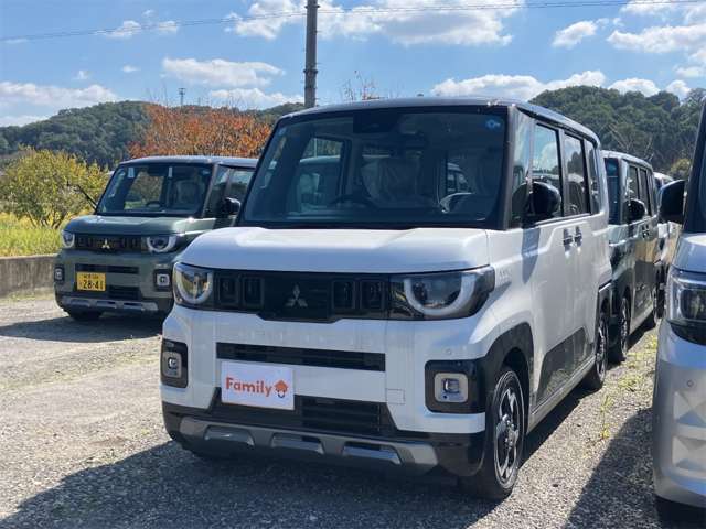 三菱 デリカ　ミニ ６６０ Ｇ プレミアム R8年 (東海) 99