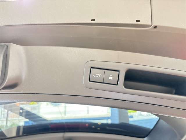レクサス ＵＸ２５０ｈ バージョンＬ R1年 (近畿) 99