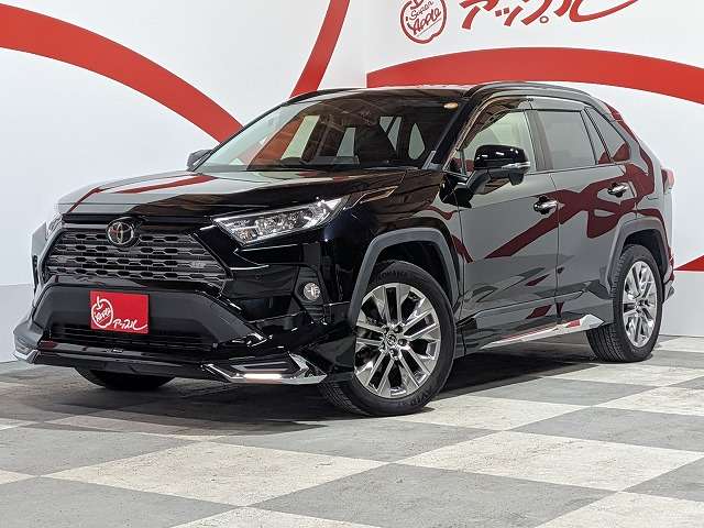 トヨタ ＲＡＶ４ ２．０ Ｇ Ｚパッケージ ４ＷＤ R1年 (東北) 99