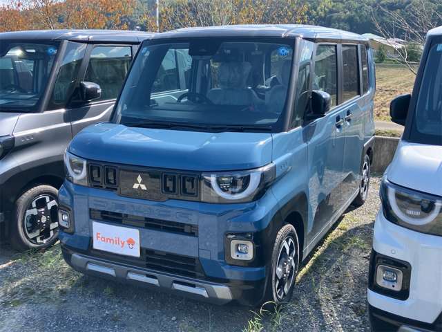 三菱 デリカ　ミニ ６６０ Ｔ プレミアム デリマル パッケージ R8年 (東海) 99