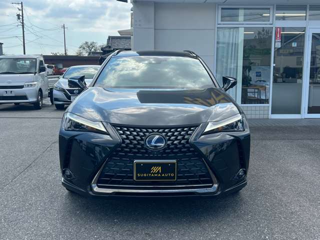 レクサス ＵＸ２５０ｈ アーバンエレガンス R3年 (東海) 99