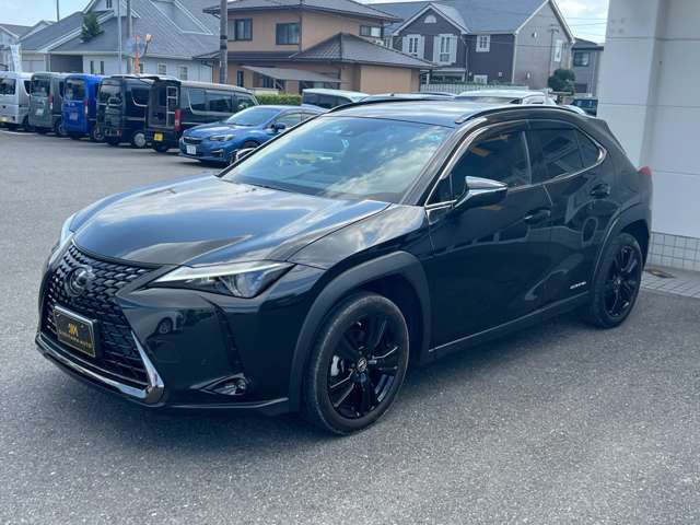 レクサス ＵＸ２５０ｈ アーバンエレガンス R3年 (東海) 99