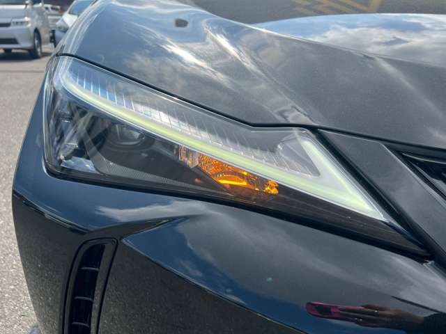レクサス ＵＸ２５０ｈ アーバンエレガンス R3年 (東海) 99