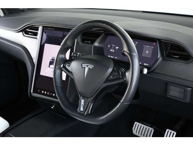 テスラ モデルＸ パフォーマンス R2年 (東海) 99