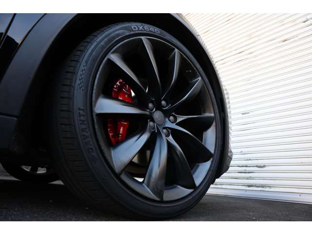 テスラ モデルＸ パフォーマンス R2年 (東海) 99