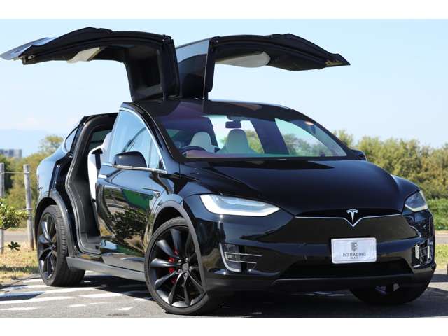 テスラ モデルＸ パフォーマンス R2年 (東海) 99