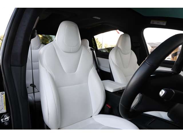 テスラ モデルＸ パフォーマンス R2年 (東海) 99