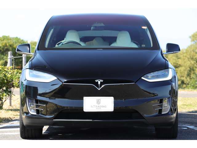 テスラ モデルＸ パフォーマンス R2年 (東海) 99