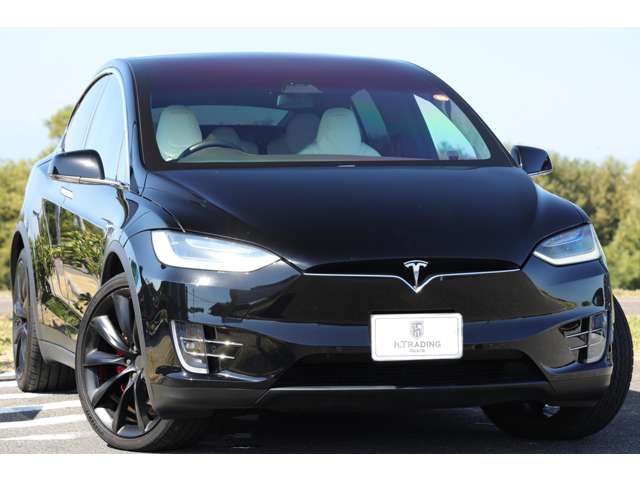 テスラ モデルＸ パフォーマンス R2年 (東海) 99