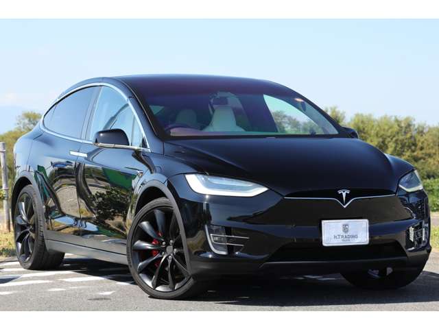 テスラ モデルＸ パフォーマンス R2年 (東海) 99