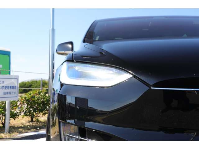 テスラ モデルＸ パフォーマンス R2年 (東海) 99
