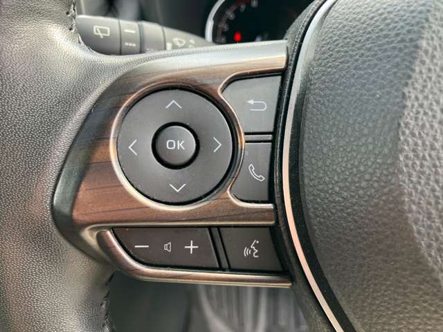 トヨタ ＲＡＶ４ ２．０ アドベンチャー ４ＷＤ R3年 (関東) 99