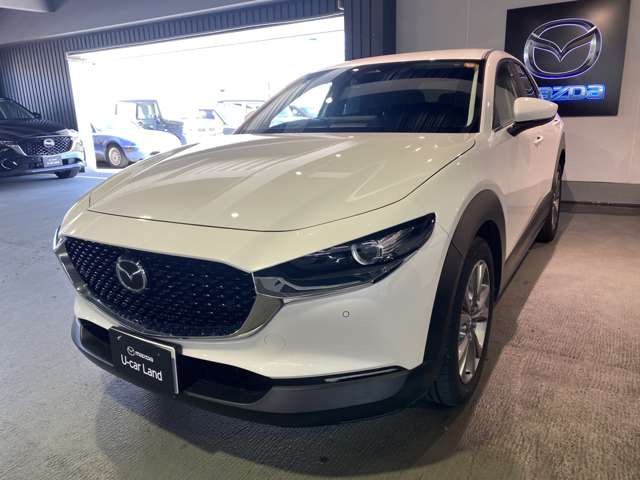 マツダ ＣＸ−３０ ２．０ ２０Ｓ Ｉ セレクション R7年 (関東) 99