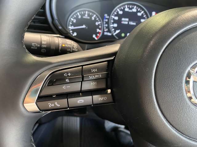 マツダ ＣＸ−３０ ２．０ ２０Ｓ Ｉ セレクション R7年 (関東) 99