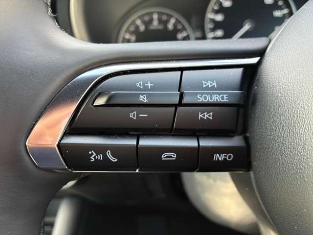 マツダ ＭＡＺＤＡ３　ファストバック ２．０ ２０Ｓ ツーリング R7年 (関東) 99