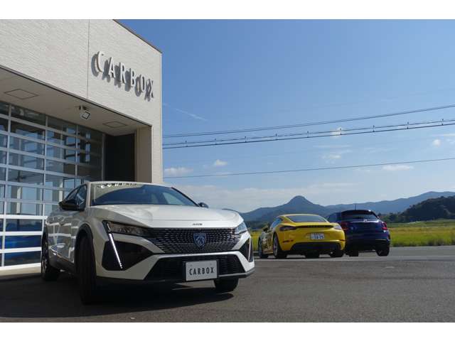 プジョー ４０８ アリュール R5年 (東海) 99