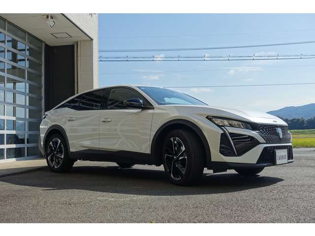 プジョー ４０８ アリュール R5年 (東海) 99