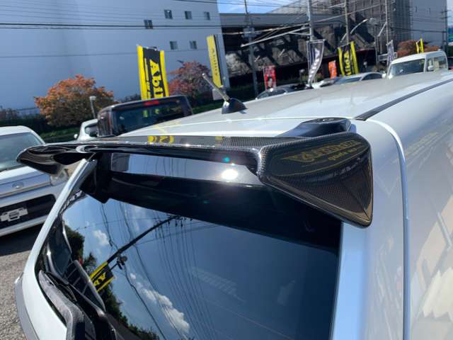 スズキ アルトワークス ワークス ６６０ オートギヤシフト H30年 (関東) 99