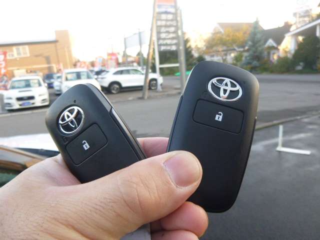 トヨタ ライズ １．０ Ｇ ４ＷＤ R6年 (北海道) 99