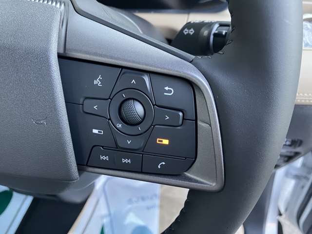三菱 デリカ　ミニ ６６０ Ｔ プレミアム デリマル パッケージ ４ＷＤ R8年 () 99