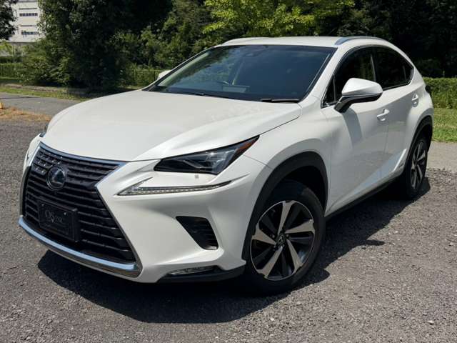 レクサス ＮＸ３００ｈ バージョンＬ H30年 (近畿) 99