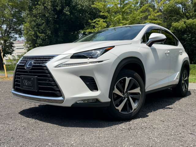 レクサス ＮＸ３００ｈ バージョンＬ H30年 (近畿) 99